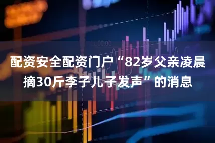 配资安全配资门户“82岁父亲凌晨摘30斤李子儿子发声”的消息